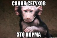 сания сетухов это норма