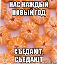 нас каждый новый год съедают, съедают