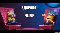 здарово! чего?