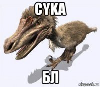 cyka бл