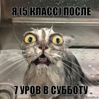 Я (5 класс) после 7 уров в субботу