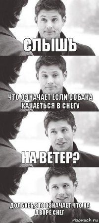 Слышь Что означает если собака качаеться в снегу На ветер? Долбоеб,это означает что на дворе снег