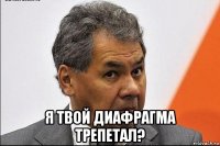  я твой диафрагма трепетал?