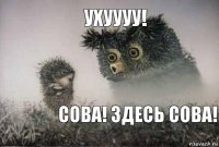 Ухуууу! Сова! Здесь сова!