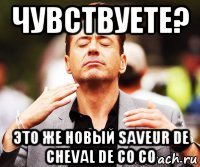 чувствуете? это же новый saveur de cheval de co co