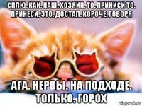 сплю. как. наш. хозяин. то. приниси то. принеси. это. достал. короче. говоря ага. нервы. на подходе. только. горох