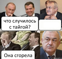 что случилось с тайгой?  Она сгорела