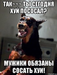 так~~~ ты сегодня хуй пососал? мужики обязаны сосать хуи!