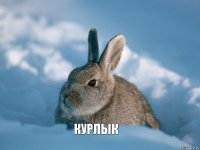 КУРЛЫК