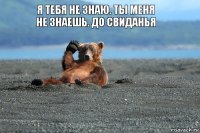 я тебя не знаю. ты меня не знаешь. до свиданья