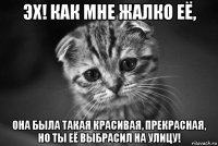 эх! как мне жалко её, она была такая красивая, прекрасная, но ты её выбрасил на улицу!