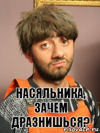 Насяльника, зачем дразнишься?