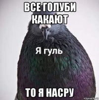 все голуби какают то я насру