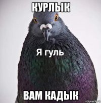 курлык вам кадык