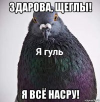 здарова, щеглы! я всё насру!