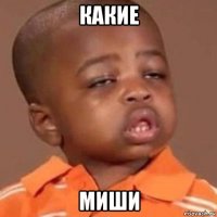 какие миши
