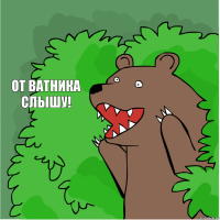 От ватника слышу!