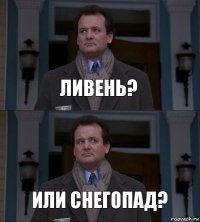 Ливень? Или снегопад?