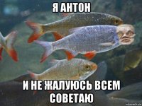 я антон и не жалуюсь всем советаю