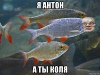 я антон а ты коля