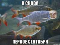 и снова первое сентября