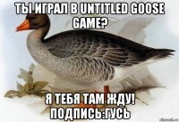 ты играл в untitled goose game? я тебя там жду! подпись:гусь