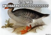 что такое рисовая.ру????????????????? 