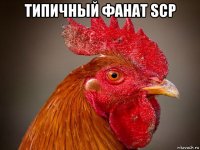 типичный фанат scp 