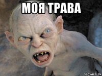 моя трава 