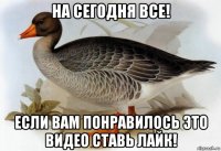 на сегодня все! если вам понравилось это видео ставь лайк!