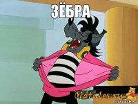 Зёбра