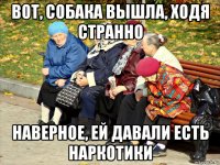 вот, собака вышла, ходя странно наверное, ей давали есть наркотики