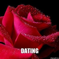  DATING