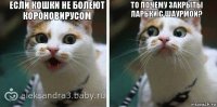 Если кошки не болеют короновирусом то почему закрыты ларьки с шаурмой?