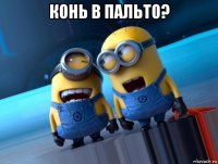 конь в пальто? 