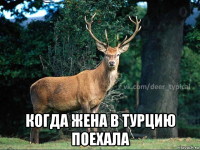  когда жена в турцию поехала