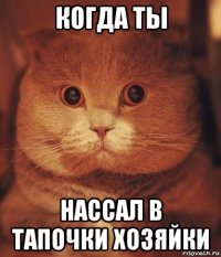 когда ты нассал в тапочки хозяйки