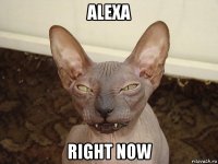 alexa right now