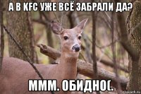 а в kfc уже всё забрали да? ммм. обидно(.