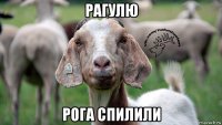 рагулю рога спилили