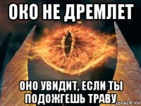 око не дремлет оно увидит, если ты подожгешь траву