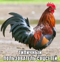  типичный пользователь соцсетей