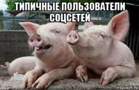 типичные пользователи соцсетей 