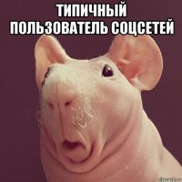 типичный пользователь соцсетей 