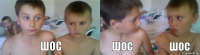 Шос Шос Шос