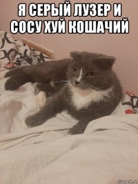 я серый лузер и сосу хуй кошачий 