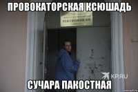 провокаторская ксюшадь сучара пакостная