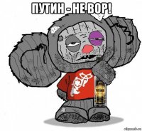 путин - не вор! 