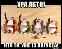 ура лето! кто то: уже 15 августа!