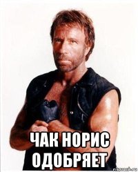  чак норис одобряет